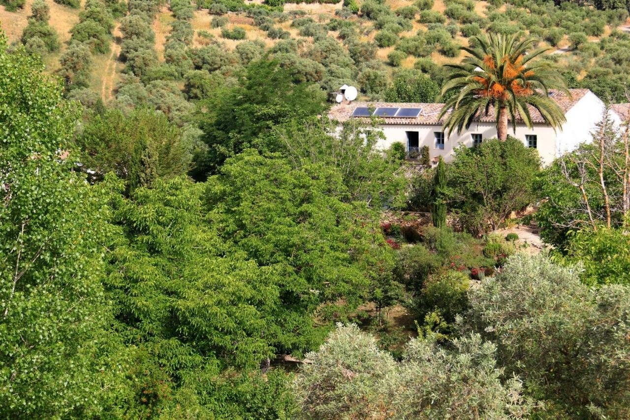Beautiful Country House Near Ronda Arriate Eksteriør bilde